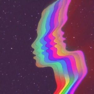 Meet your Posher, Tamaria